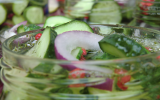 Kriterier for tildeling av plass